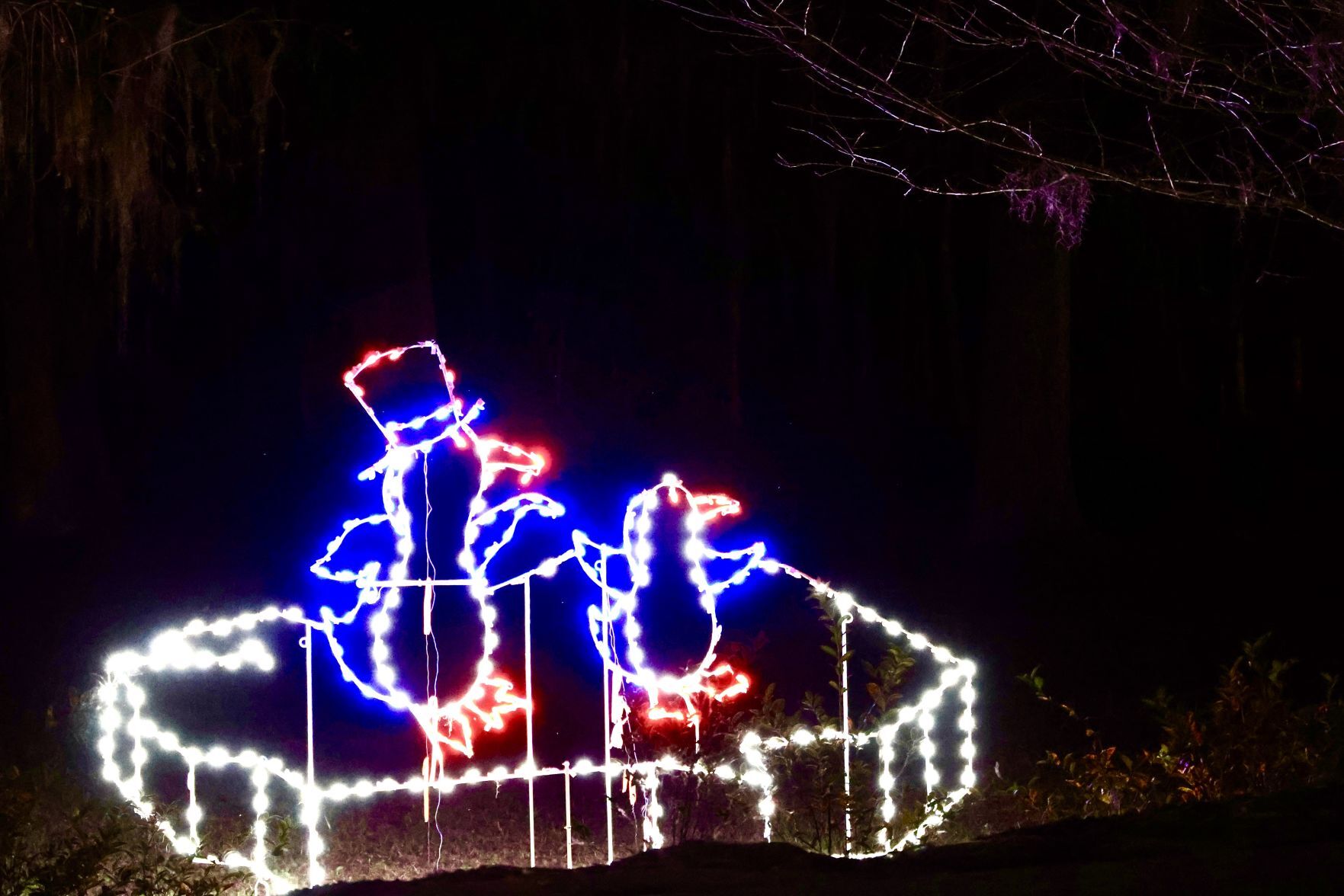 Orangeburg Christmas Lights